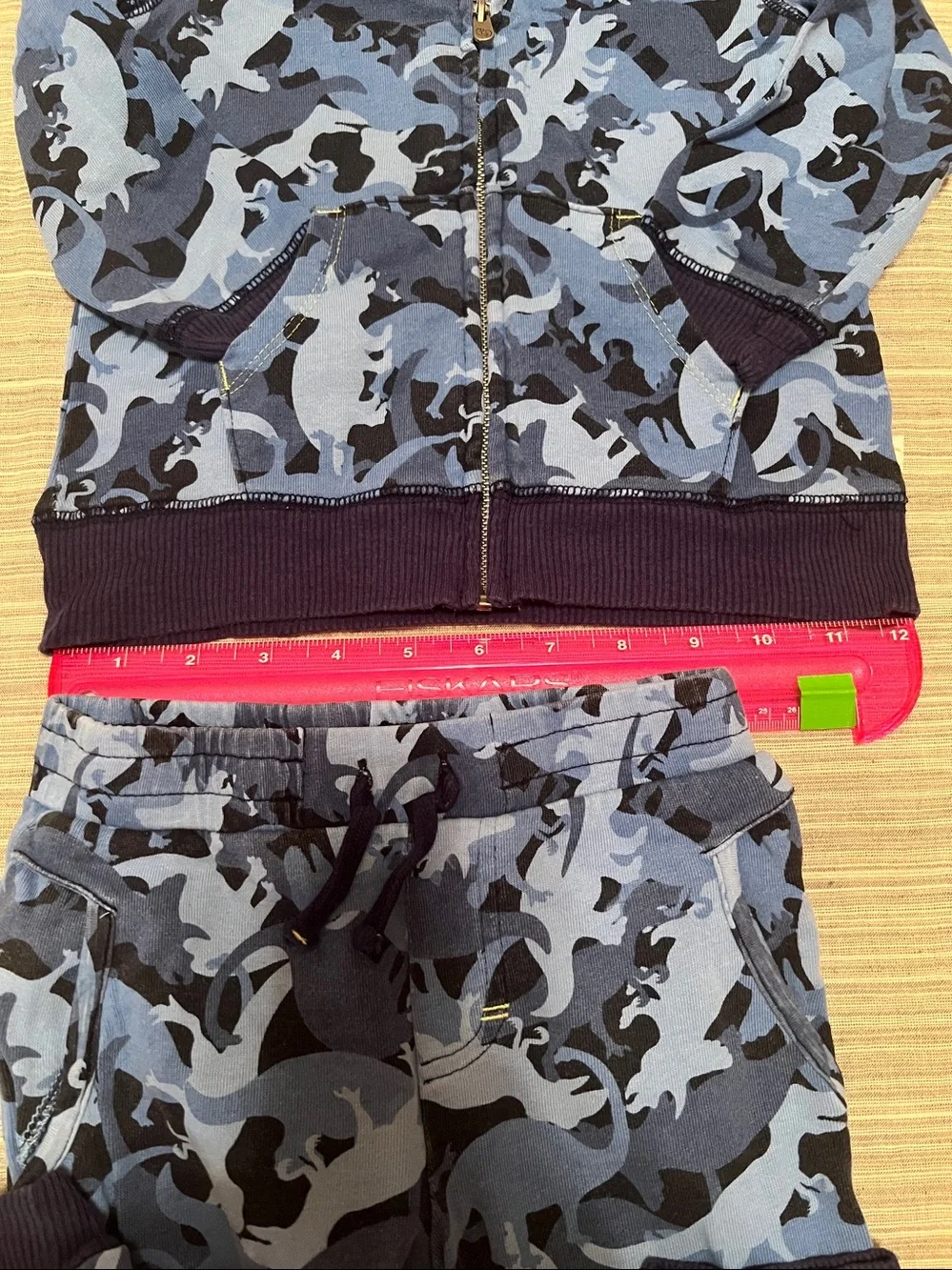 Flapdoodles Hoodie and Sweatpants Set